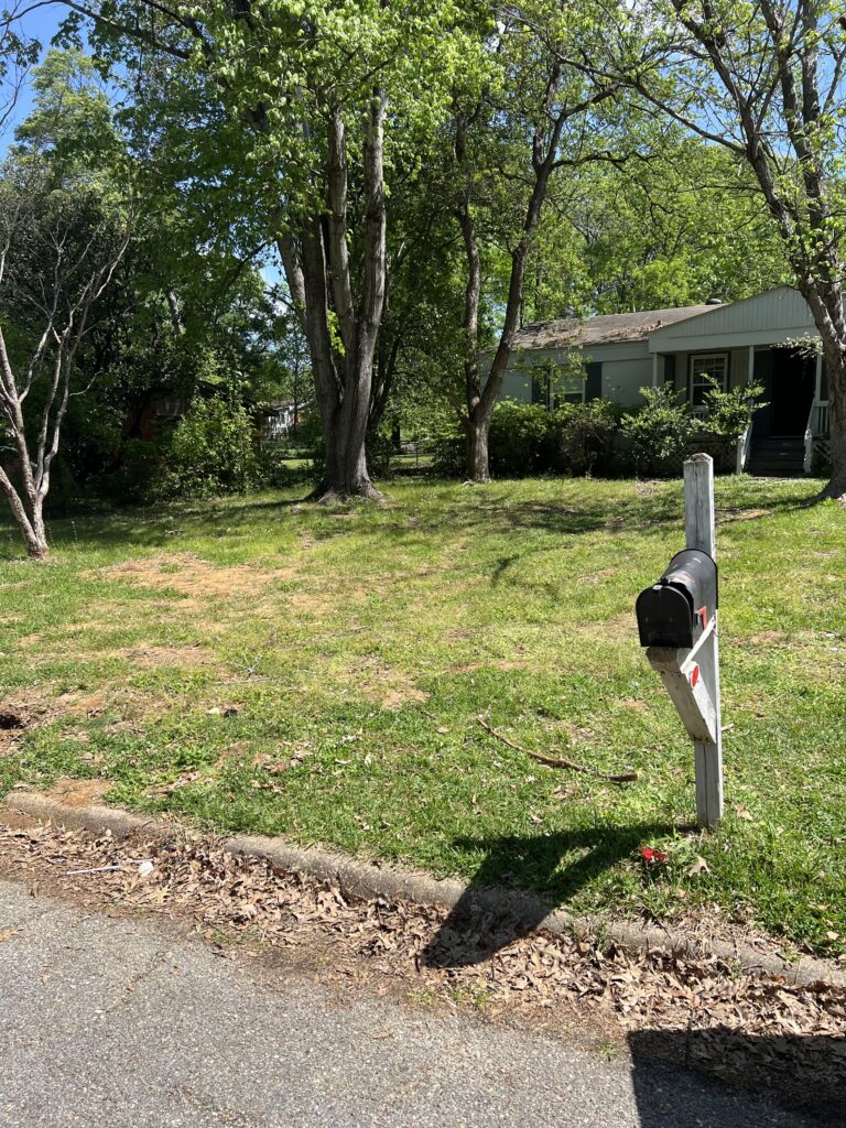 Clean Yard
